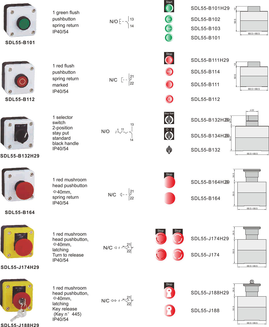 SDL55P1.jpg