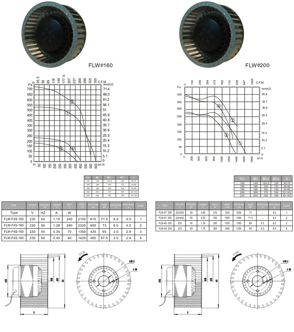 flw5.jpg